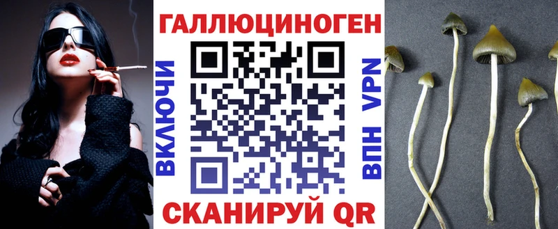 цены Ступино Галлюциногенные грибы Psilocybine cubensis