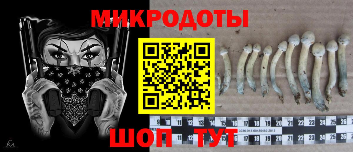 Галлюциногенные грибы MAGIC MUSHROOMS Ступино