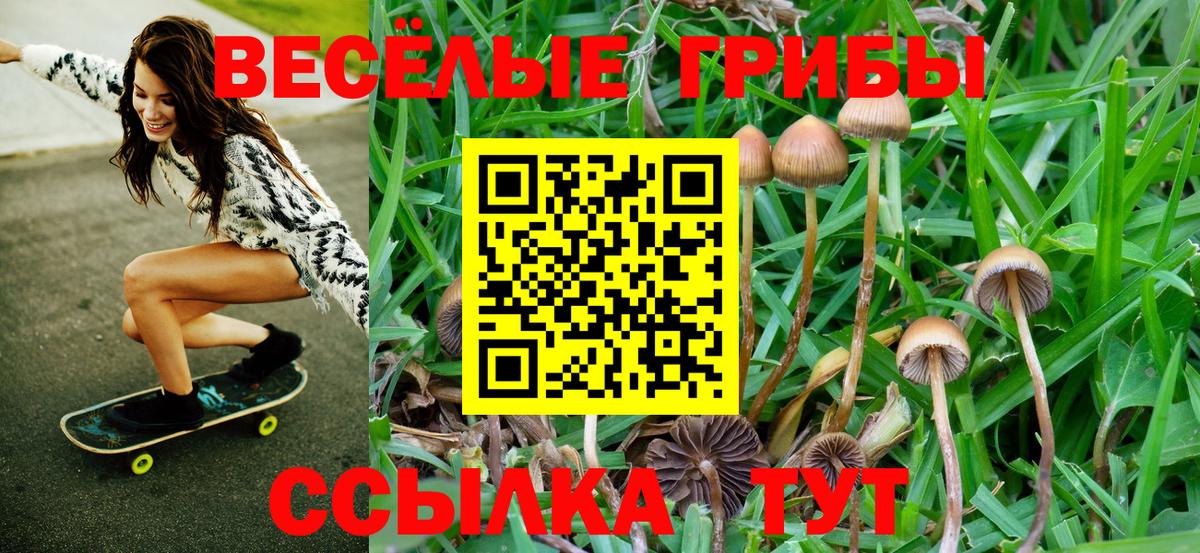 Галлюциногенные грибы ЛСД  Вход с VPN  Ступино 